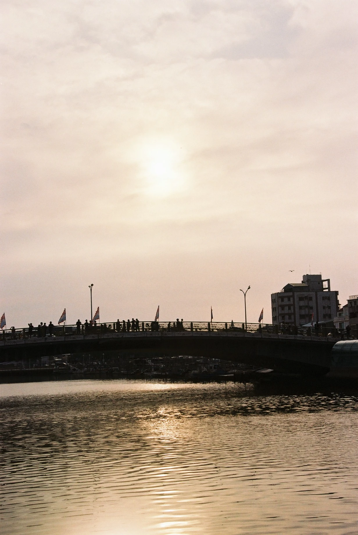 底片 - Kodak Proimage 100