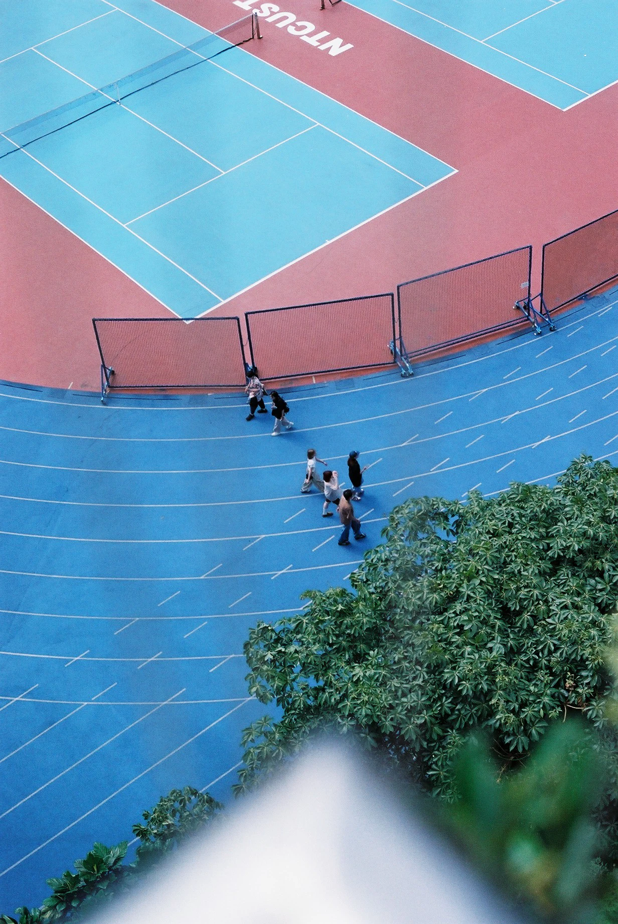 底片 - Kodak Proimage 100