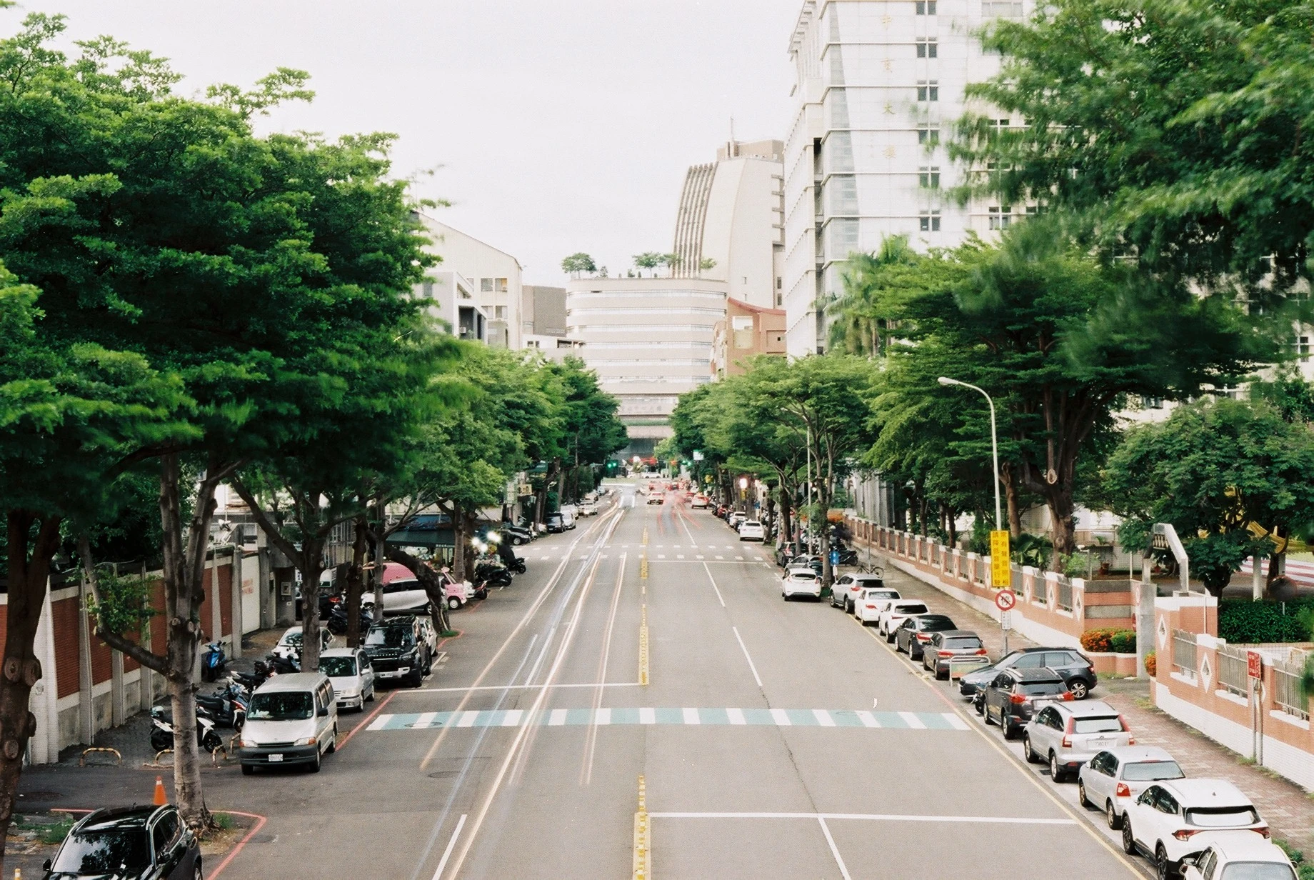 底片 - Kodak Proimage 100